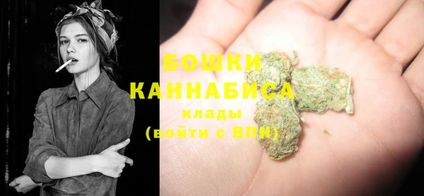 МДПВ Снежинск