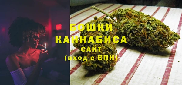 скорость Ельня