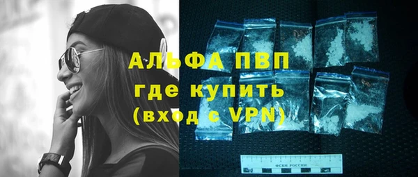 скорость Ельня