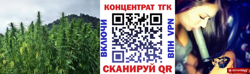купить наркотик  Кисловодск  блэк спрут ссылки  Дистиллят ТГК THC oil 